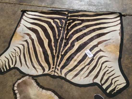 ZEBRA TAXIDERMY RUG MOUNT