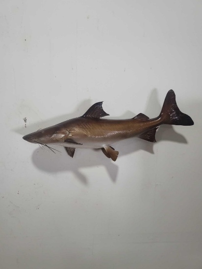 HIGH END REPLICA TAXIDERMY FISH MOUNT