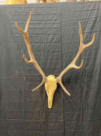 Faux Antlers