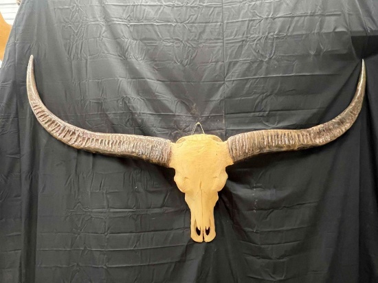 Water Buffalo