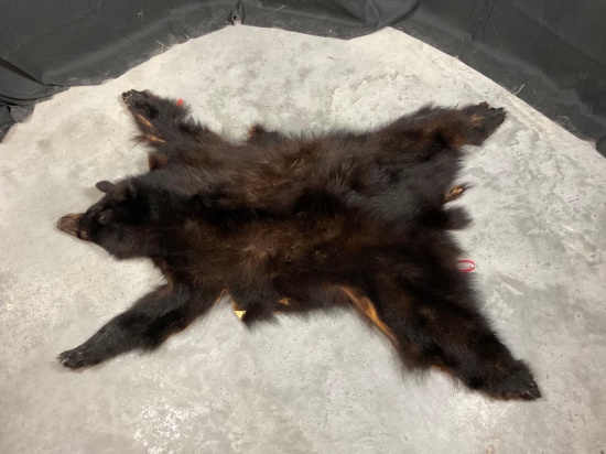 Black Bear Hide DO NOT BID IF YOU ARE FROM CA FL NE ND OK SD VA WV