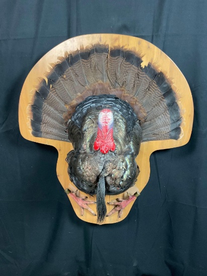 Turkey Mount