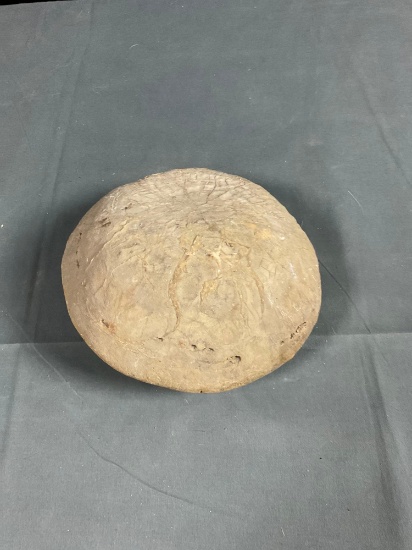 Fossil