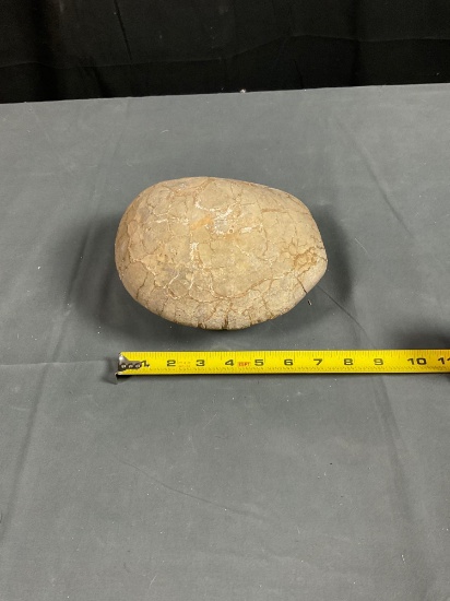 Fossil