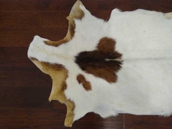 Gemsbuck Fly Swatter & African Goat Hide
