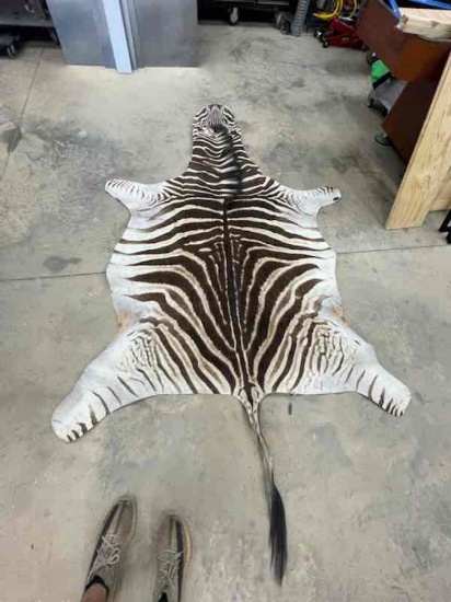 Zebra Rug