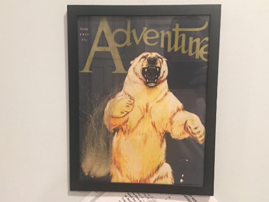 VERY RARE Taxidermy Polar Bear Fur and Framed COPY of a Polar Bear Picture U.S. Residents Only!