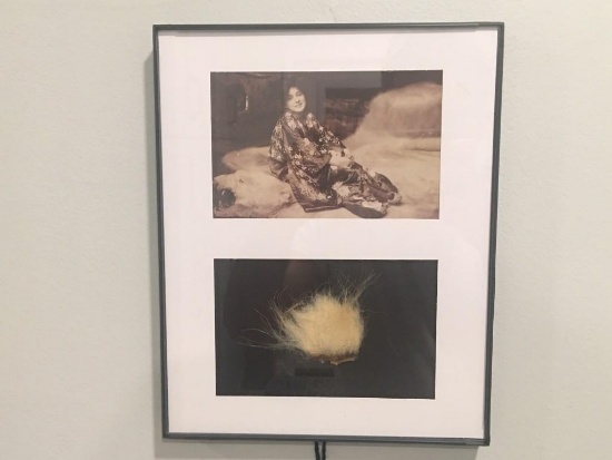VERY RARE Taxidermy Polar Bear Fur and Framed COPY of a Polar Bear Picture U.S. Residents Only!