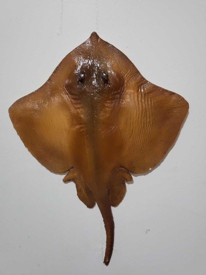 HIGH END REPLICA TAXIDERMY FISH MOUNT