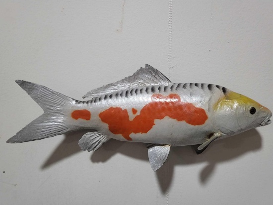 KOI HIGH END REPLICA TAXIDERMY FISH MOUNT