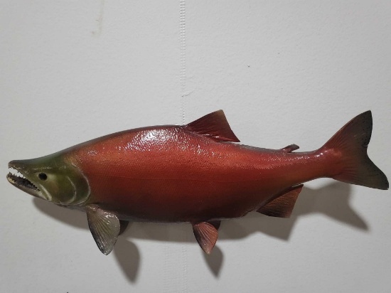 SOCKEYE SALMON HIGH END REPLICA TAXIDERMY FISH MOUNT