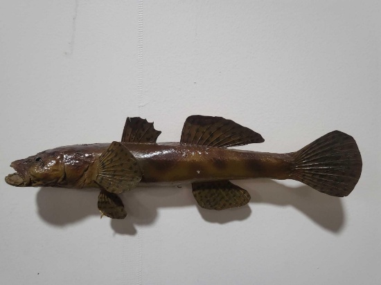 HIGH END REPLICA TAXIDERMY FISH MOUNT