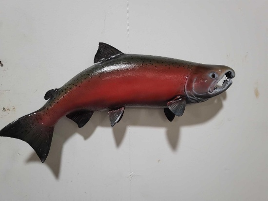 SOCKEYE SALMON HIGH END REPLICA TAXIDERMY FISH MOUNT