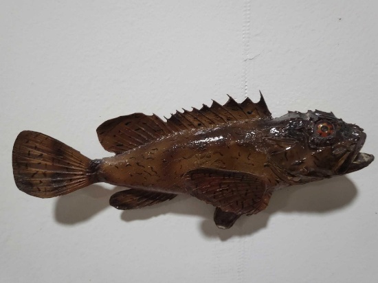 SCORIPION HIGH END REPLICA TAXIDERMY FISH MOUNT