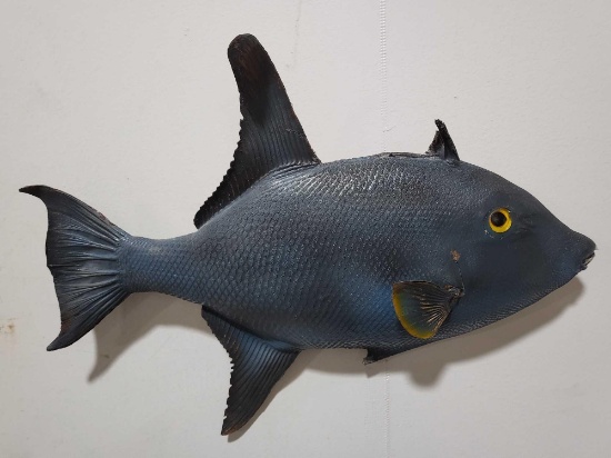 HIGH END REPLICA TAXIDERMY FISH MOUNT