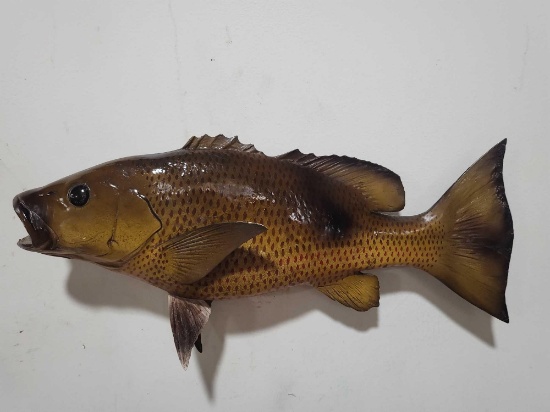 HIGH END REPLICA TAXIDERMY FISH MOUNT