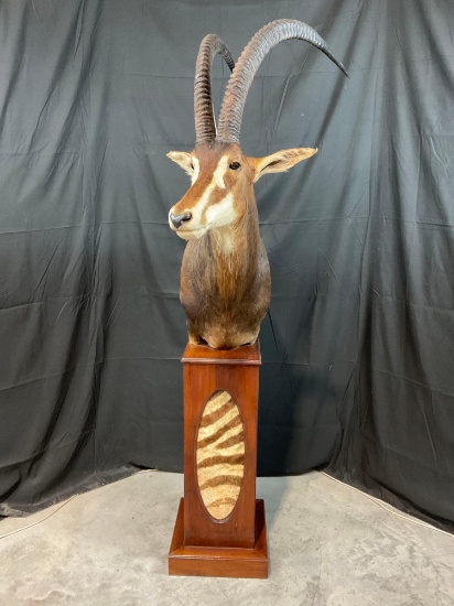 Sable Pedestal