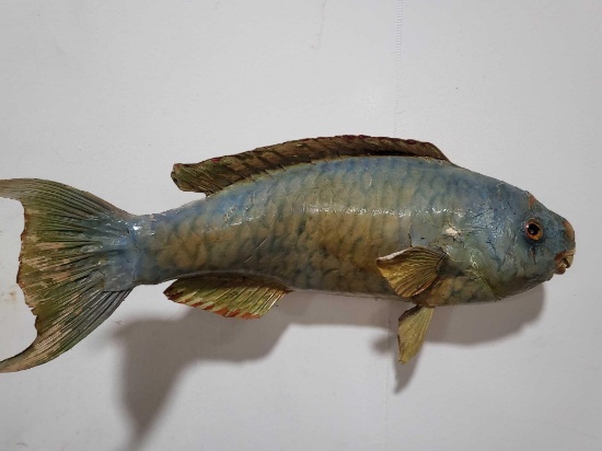 HIGH END REPLICA TAXIDERMY FISH MOUNT