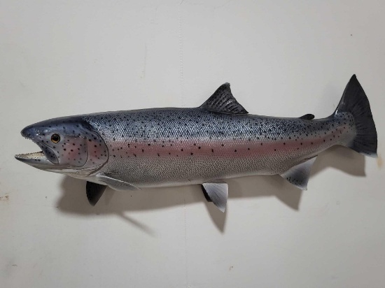 STEELHEAD TROUT HIGH END REPLICA TAXIDERMY FISH MOUNT