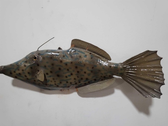 HIGH END REPLICA TAXIDERMY FISH MOUNT