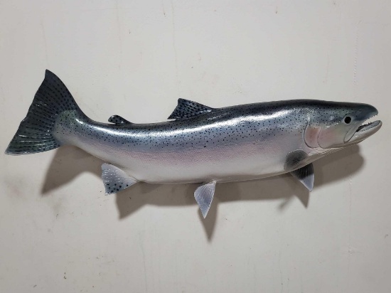 HIGH END REPLICA TAXIDERMY FISH MOUNT