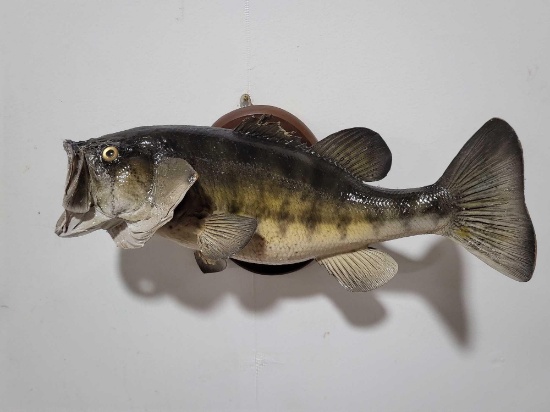 LARGEMOUTH BASS HIGH END REAL SKIN TAXIDERMY FISH MOUNT