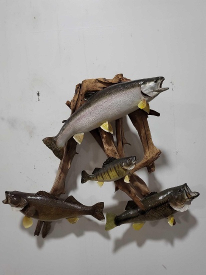 LAKE ERIE GRAND SLAM ALL REAL SKIN FISH TAXIDERMY MOUNTS