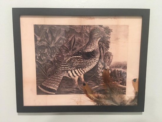19th Century American Pheasant Picture COPY with Genuine Pheasant Feathers