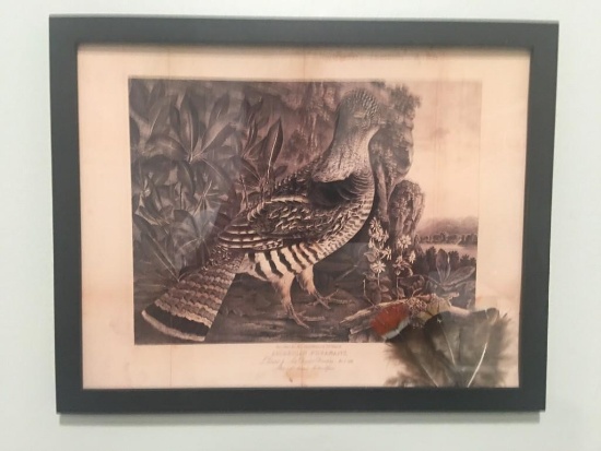 19th Century American Pheasant Picture COPY with Genuine Pheasant Feathers