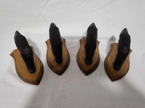 TAXIDERMY FEET- PERFECT FOR ODDITY COLLECTORS