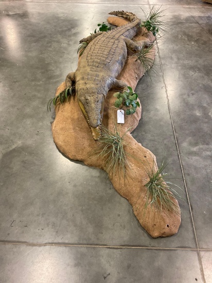 Aligator