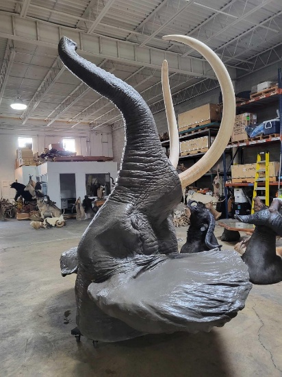 ELEPHANT SHOULDER MOUNT BIG AND WE MEAN BIG REPLICA TAXIDERMY