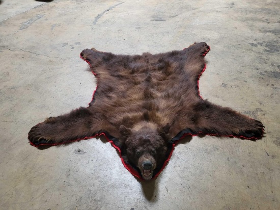 BEAUTIFUL TAXIDERMY BLACK BEAR RUG - DO NOT BID IF YOU ARE FROM CA FL NE ND OK SD VA WV