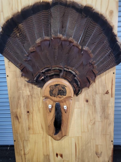 TAXIDERMY TURKEY TAIL