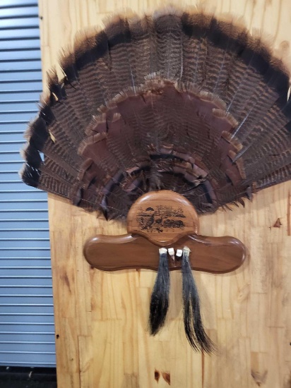 TAXIDERMY TURKEY TAIL