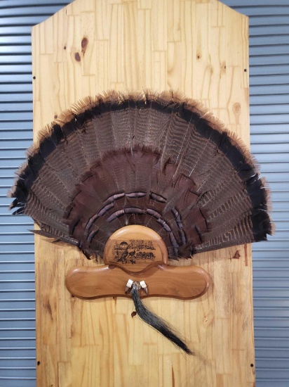 TAXIDERMY TURKEY TAIL