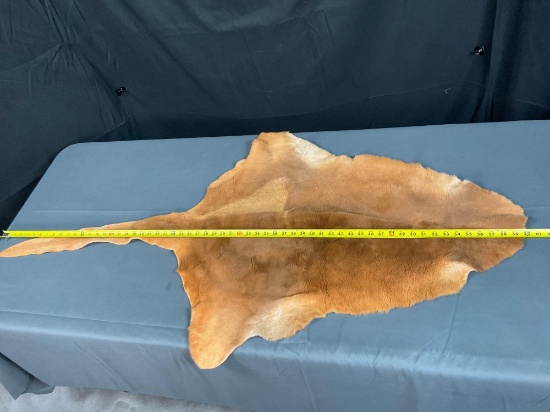 Kangaroo Skin