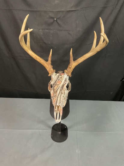 Whitetail Skull Mount