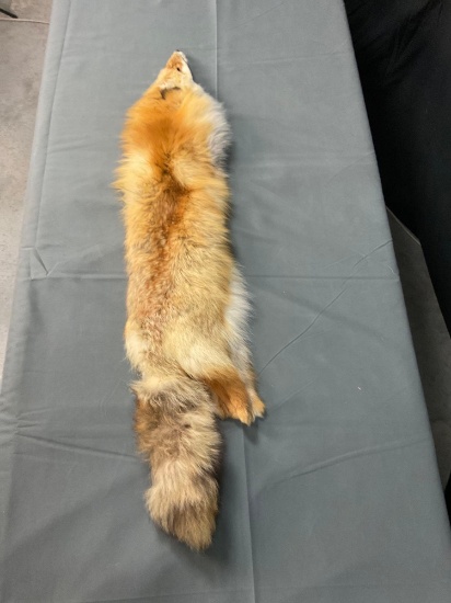 Fox Hide