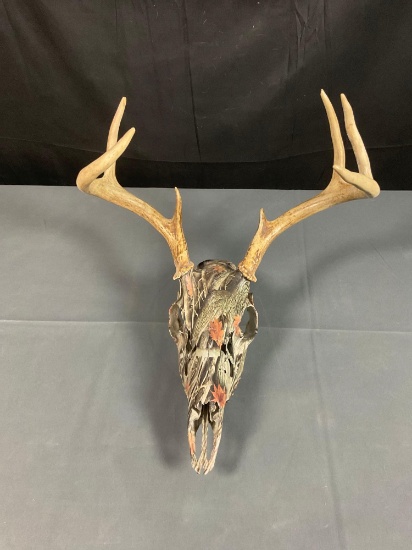 Whitetail Skull Mount