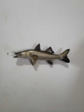 SNOOK HIGH END REPLICA TAXIDERMY FISH MOUNT