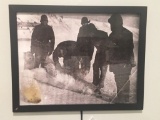 VERY RARE Taxidermy Polar Bear Fur and Framed COPY of a Polar Bear Picture U.S. Residents Only!