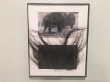 Genuine Taxidermy Buffalo / Taxidermy Bison Fur and Framed COPY of a Buffalo / Bison Picture