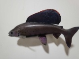 GRAYLING HIGH END REPLICA TAXIDERMY FISH MOUNT