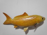 GOLDEN CARP HIGH END REPLICA TAXIDERMY FISH MOUNT