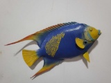 ANGELFISH HIGH END REPLICA TAXIDERMY FISH MOUNT