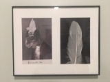 ATTENTION ODDITY COLLECTORS - Framed COPY of a Viking Cat Picture and a Genuine Turkey Feather