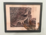 19th Century American Pheasant Picture COPY with Genuine Pheasant Feathers