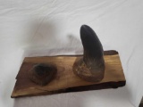 AFRICAN RHINO HORN - OHIO RESIDENTS ONLY! DO NOT BID UNLESS YOU ARE FROM OHIO. AUTHENTICITY OF HORNS