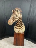Zebra/ Pedestal Mount